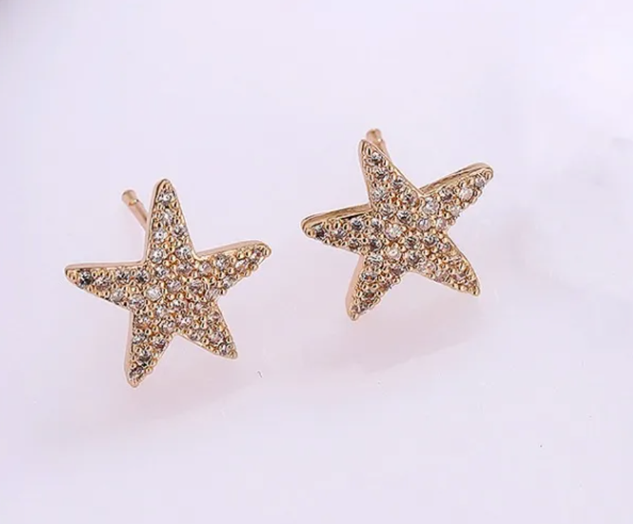 Aretes Estrella